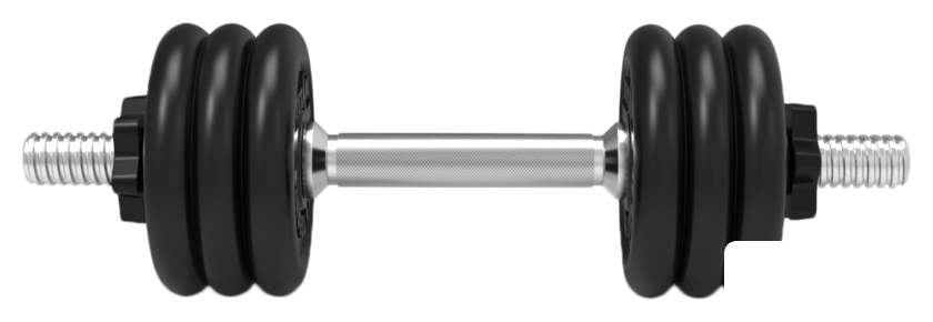 Гантели Central Sport N2 9.5 кг