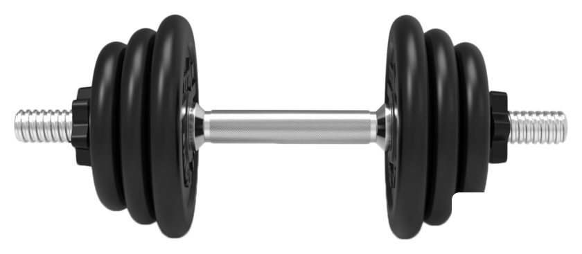 Гантели Central Sport 19.5 кг