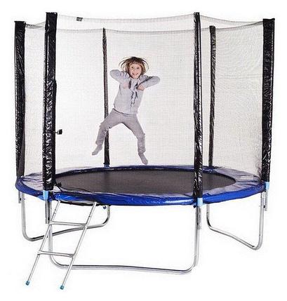 Батут Funfit 252см - 8ft, фото 2