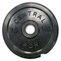 Штанга Central Sport 26 мм 23.5 кг, фото 3