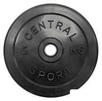 Штанга Central Sport 26 мм 23.5 кг, фото 2