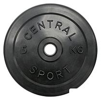 Штанга Central Sport 26 мм 80 кг, фото 2