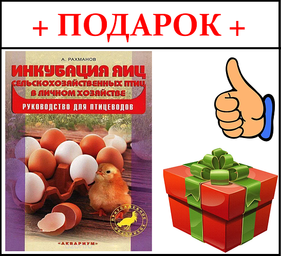 Инкубатор Блиц Норма "Парка" С10 (Автомат, 120 яиц + Гигрометр + 12 Вт ...