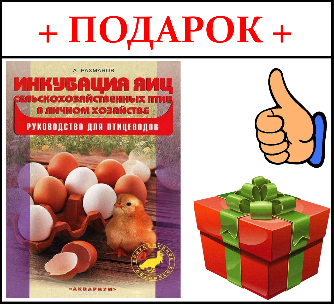 Инкубатор Несушка 63 (Цифр.табло, 12 Вольт, Автомат) для яиц - фото 2 - id-p111763853