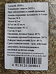 Травосмесь "Газон Универсальный", 0,5 кг,  Беларусь, фото 2