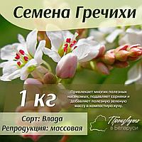 Семена гречихи, кг