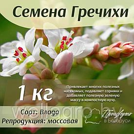 Семена гречихи, кг