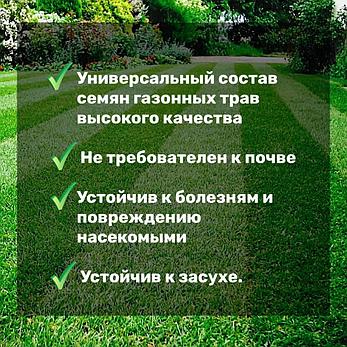 Газонная смесь "Универсальная, кг, фото 2