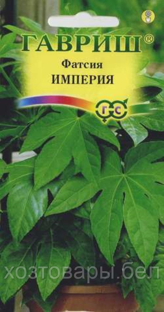 Фатсия Империя японская 5шт Комн 150см (Гавриш)
