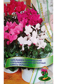 ЦИКЛАМЕН