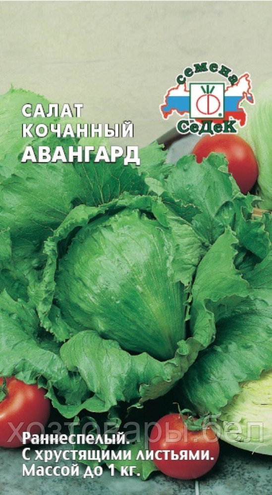 Салат Авангард (Айсберг) зеленый кочанный 0,5г Ранн (Седек)