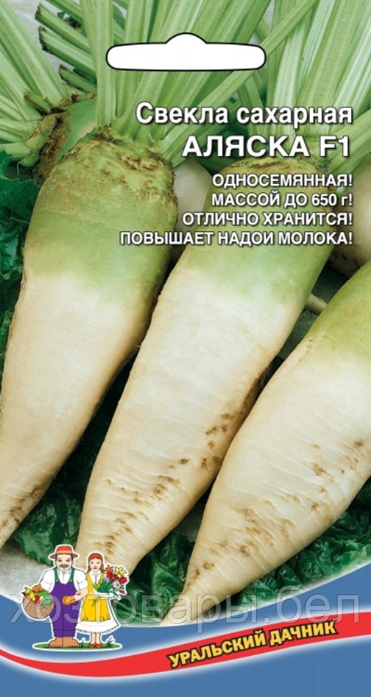 Купить Семена Свеклы Рафинад