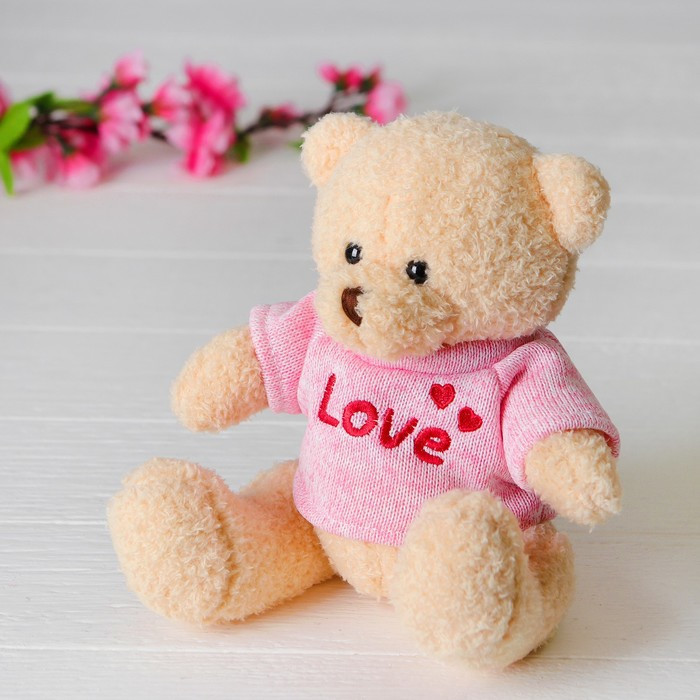 Мягкая игрушка «Медведь», 20 см, кофточка с надписью, цвета МИКС - фото 1 - id-p178718822