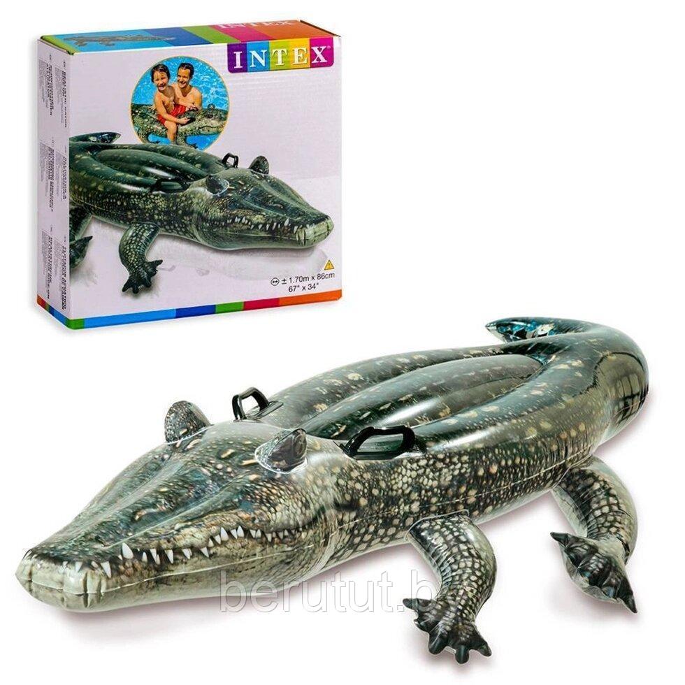 Надувная игрушка-наездник Intex Аллигатор ( 170x86 см) - фото 2 - id-p178733751