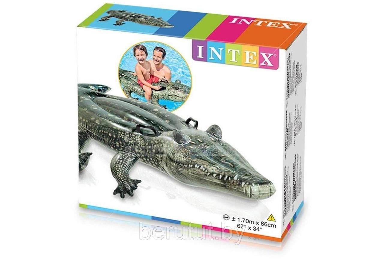 Надувная игрушка-наездник Intex Аллигатор ( 170x86 см) - фото 4 - id-p178733751