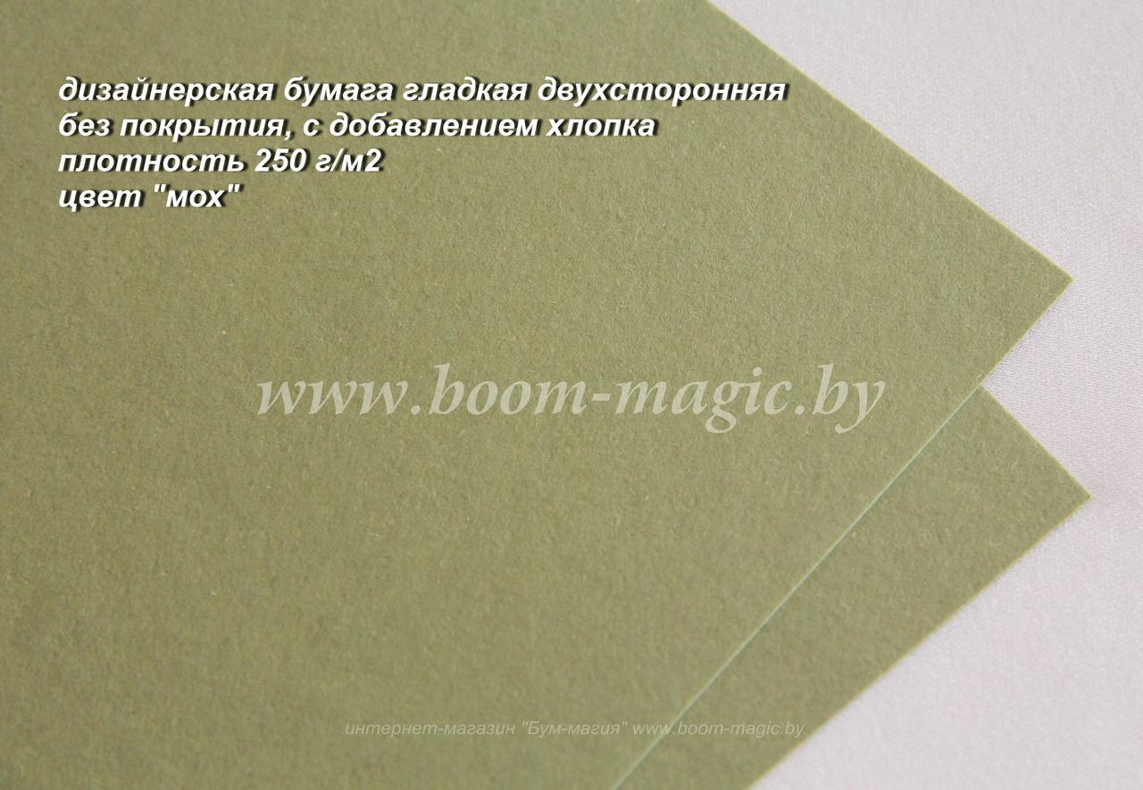 БФ! 28-101 бумага без покрытия гладкая с добавл. хлопка, цвет "мох", плотность 250 г/м2, формат 72*102 см