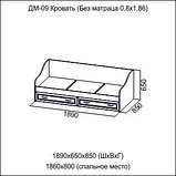 Кровать с ящиками Вега ДМ-09 ПХМ (2000х900), фото 6