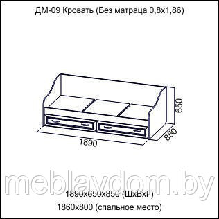 Кровать с ящиками Вега ДМ-09 ПХМ (2000х900) - фото 6 - id-p178805650