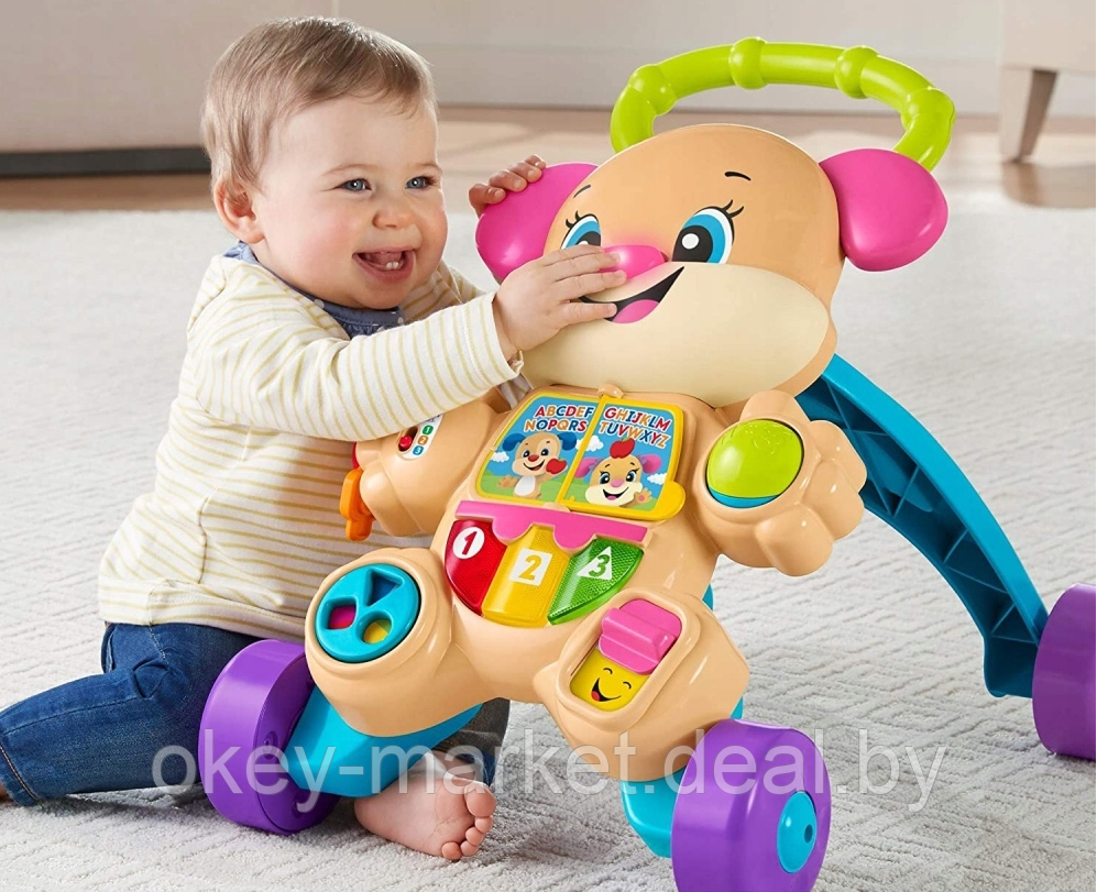 Ходунки Fisher Price Ученый Щенок FRC92 - фото 5 - id-p178840241