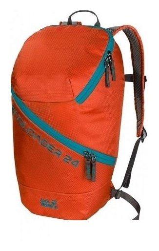 Городской рюкзак Jack Wolfskin Ecoloader 24 2009251-3017 (wild brier)