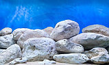 Фон двусторонний Hagen Aqua garden/Bright stone, фото 3