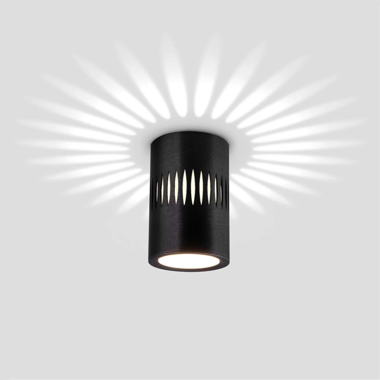 Elektrostandard DLS026