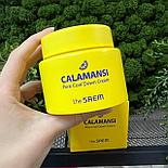 Крем для лица The SAEM поросужающий Calamansi Pore Cool Down Cream 100 мл, фото 2