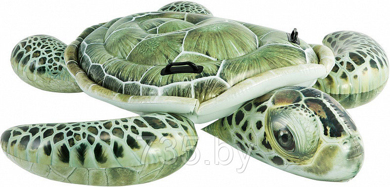 Надувной плот Морская черепаха (191*170 см) Intex 57555NP - фото 1 - id-p178945634