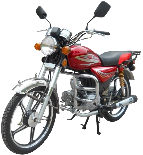 Мотоцикл racer 110. Мотоцикл рейсер rc110. Альфа 110 рейсер трофи. Racer gs 110n. Racer rc 110n trophy.