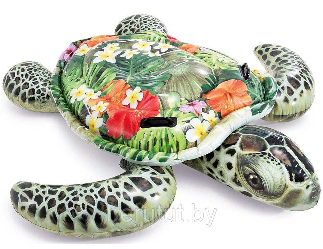 Надувная игрушка-наездник Intex Морская черепаха 191х170 см - фото 2 - id-p179018711