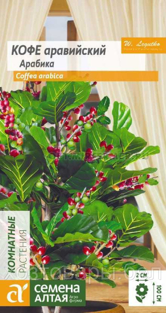 Где Купить Семена Кофе Для Посадки