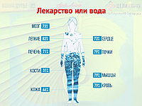 ЛЕКАРСТВА ИЛИ ВОДА?