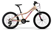 Велосипед детский Merida Matts J.20  Eco MattLightSand/Berry, фото 9