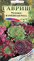 Молодило Каменная роза 0,01г Мн (Гавриш) Альпийская горка