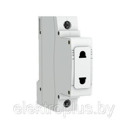 Розетка на DIN-рейку РДЕ-47 240В PROXima EKF, фото 2