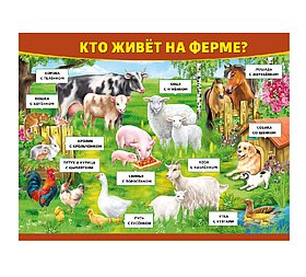 Стенд для детского сада "Кто живет на ферме?"