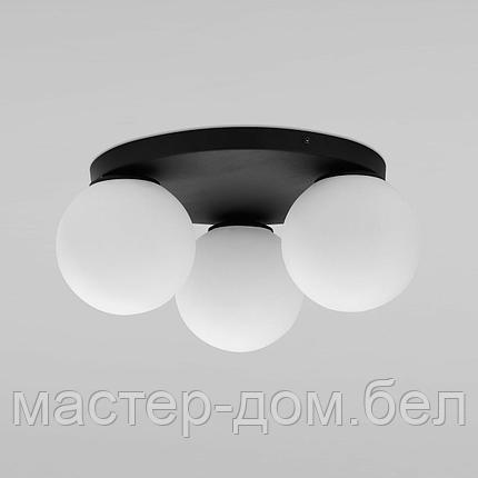 TK Lighting 3478, фото 2