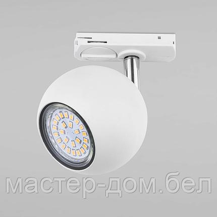 TK Lighting 4040, фото 2