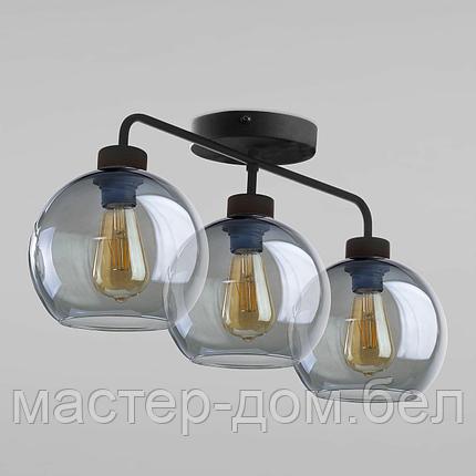 TK Lighting 4020, фото 2