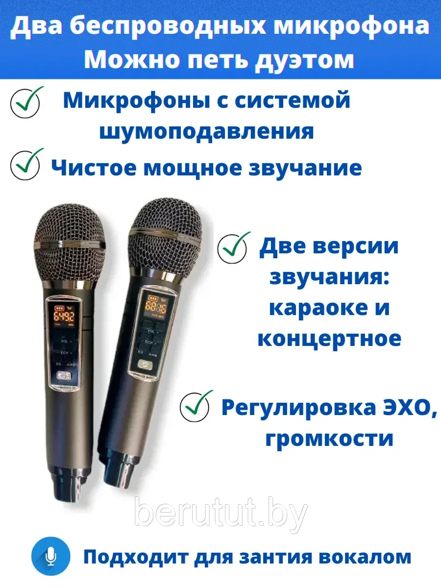 Семейная премиальная караоке система на два микрофона SDRD SD-306 PLUS - фото 5 - id-p179417697