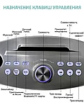 Семейная премиальная караоке система на два микрофона SDRD SD-306 PLUS, фото 7
