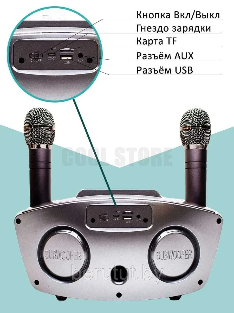 Семейная премиальная караоке система на два микрофона SDRD SD-306 PLUS - фото 10 - id-p179417697