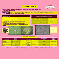 Биопрепарат Энтолек (1 л)