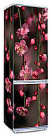 Наклейки на холодильник "Cакура, цветущая вишня"