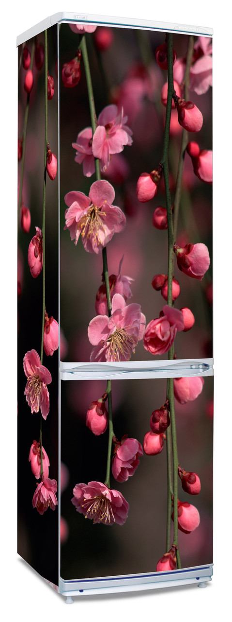 Наклейки на холодильник "Cакура, цветущая вишня" - фото 1 - id-p22563482