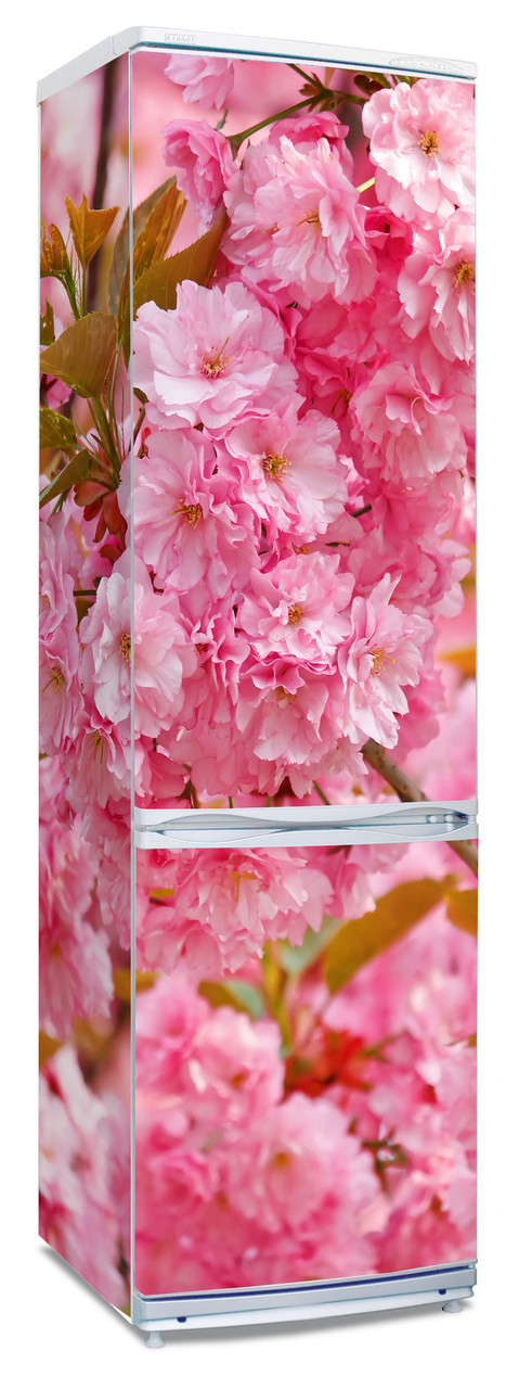 Наклейки на холодильник "Cакура, цветущая вишня" - фото 2 - id-p22563483
