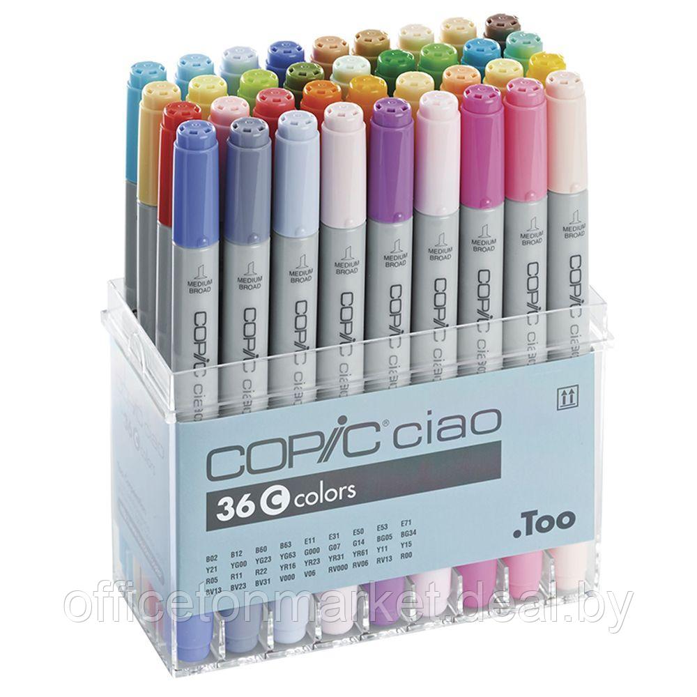 Набор маркеров перманентных "Copic ciao" C, 36 цветов - фото 1 - id-p178285066