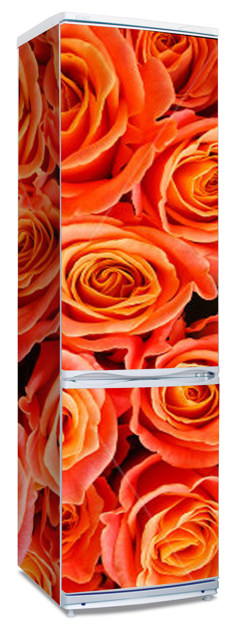 Наклейка на холодильник с изображением оранжевых бутонов роз - фото 1 - id-p22572788