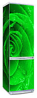 Наклейка на холодильник с цветком зеленой розы