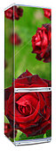 Наклейка на холодильник с красными розами на зеленом фоне